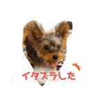 〜PARUM❤︎stamp〜（個別スタンプ：23）