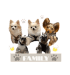 〜PARUM❤︎stamp〜（個別スタンプ：29）