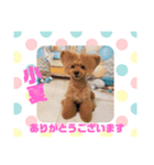HappyBathPep9月のお友達A（個別スタンプ：1）