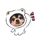 HappyBathPep9月のお友達A（個別スタンプ：7）