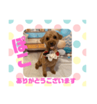 HappyBathPep9月のお友達A（個別スタンプ：9）