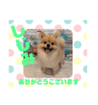 HappyBathPep9月のお友達A（個別スタンプ：17）