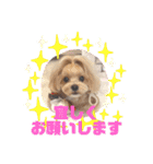 HappyBathPep9月のお友達A（個別スタンプ：24）