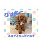 HappyBathPep9月のお友達A（個別スタンプ：25）