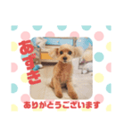 HappyBathPep9月のお友達A（個別スタンプ：29）