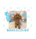 HappyBathPep9月のお友達A（個別スタンプ：33）