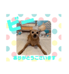HappyBathPep9月のお友達A（個別スタンプ：37）