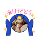 むーちゃんスタンプver.2（個別スタンプ：6）