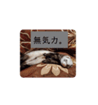 むーちゃんスタンプver.2（個別スタンプ：14）