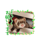むーちゃんスタンプver.2（個別スタンプ：15）
