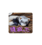 むーちゃんスタンプver.2（個別スタンプ：16）