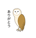 フクロウさんのスタンプ（個別スタンプ：1）