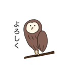 フクロウさんのスタンプ（個別スタンプ：10）