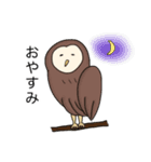 フクロウさんのスタンプ（個別スタンプ：12）