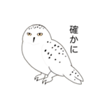 フクロウさんのスタンプ（個別スタンプ：19）