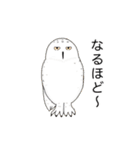 フクロウさんのスタンプ（個別スタンプ：20）