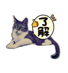 もぐもぐ＆にこぷー Part.4（個別スタンプ：1）