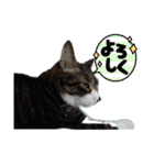 もぐもぐ＆にこぷー Part.4（個別スタンプ：4）