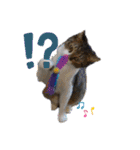 もぐもぐ＆にこぷー Part.4（個別スタンプ：7）