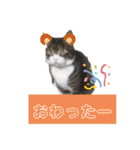 もぐもぐ＆にこぷー Part.4（個別スタンプ：10）