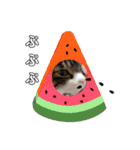 もぐもぐ＆にこぷー Part.4（個別スタンプ：12）