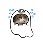 もぐもぐ＆にこぷー Part.4（個別スタンプ：33）