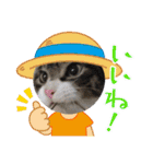 もぐもぐ＆にこぷー Part.4（個別スタンプ：37）