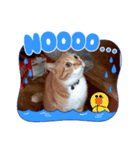 ペコポコピピ（個別スタンプ：4）