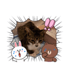 ペコポコピピ（個別スタンプ：5）