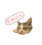 顔と鳴きで語るあお（個別スタンプ：8）