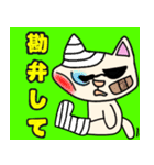 ちょいわる猫さん（個別スタンプ：6）