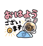 ぴーちゃんのぴぴぴスタンプ2（個別スタンプ：1）