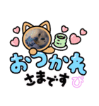 ぴーちゃんのぴぴぴスタンプ2（個別スタンプ：2）