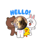 ぴーちゃんのぴぴぴスタンプ2（個別スタンプ：4）
