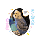 ぴーちゃんのぴぴぴスタンプ2（個別スタンプ：28）