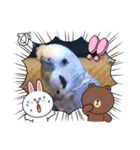 ぴーちゃんのぴぴぴスタンプ2（個別スタンプ：32）
