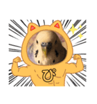 ぴーちゃんのぴぴぴスタンプ2（個別スタンプ：33）