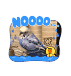 ぴーちゃんのぴぴぴスタンプ2（個別スタンプ：37）