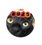 多田家の日常（個別スタンプ：1）