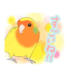 インコのしぐさ2（個別スタンプ：5）