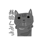 とある家の猫（個別スタンプ：21）