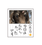 ちゅりんぼの毎日（個別スタンプ：3）