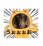 ちゅりんぼの毎日（個別スタンプ：4）