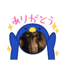 ちゅりんぼの毎日（個別スタンプ：5）
