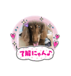 ちゅりんぼの毎日（個別スタンプ：16）