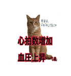 猫村(勉強を教える猫達)（個別スタンプ：13）