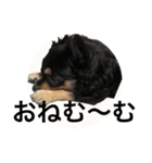 タカノさん家の7ちいたち(ぷらすあるふぁ)（個別スタンプ：2）