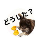 タカノさん家の7ちいたち(ぷらすあるふぁ)（個別スタンプ：3）