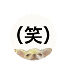 タカノさん家の7ちいたち(ぷらすあるふぁ)（個別スタンプ：5）