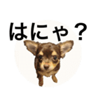 タカノさん家の7ちいたち(ぷらすあるふぁ)（個別スタンプ：6）